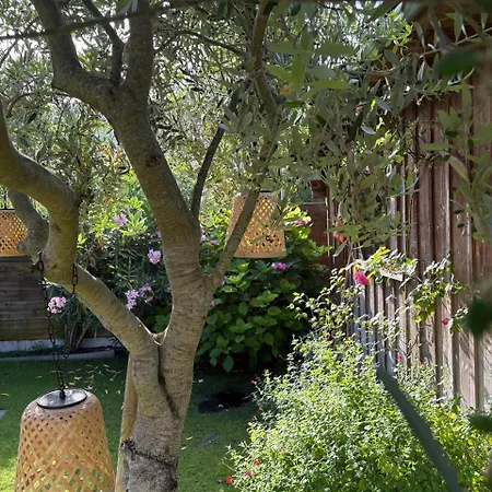 Pleasant Family House With Swimming Pool Bordeaux